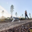 Non-Stop Dogwear Freemotion Trekksele Str. 7 Svart