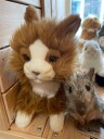 Hansa Creation Cat Beige Plush