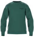 Björn Borg Borg Essential 1 Sweatshirt Green 134 140