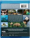 Asia 2024 Bluray