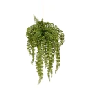 Mr Plant Bregne Hengeplante 53 cm