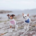 Fleksibelt Halsbånd Med Mønstret Bandana