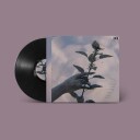 Poor Creature  All Smiles Tonight  LP/Vinyl