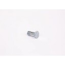 BOSCH 1 463 456 344 Skrue