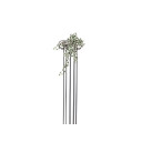 Europalms Holland Ivy Bush Tendril Classic, 60cm