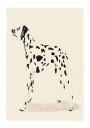 Pandc Dalmation Plakat / 70x100cm