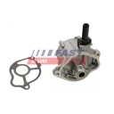 Vakuumpumpe bremseanlegg FAST FT36033