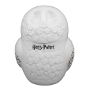 Harry Potter Keramisk Kakeboks Hedwig