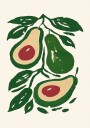 Avocado Branch Art Plakat Plakat / 40x50cm