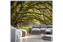 Fototapet Tree Embrace 300x210 - Artgeist sp. z o. o.