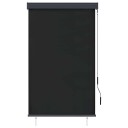 vidaXL Utendørs rullegardin 100x250 cm antrasitt
