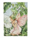 Paperblanks Notatbok Bindweed Fairy Midi Linjert