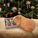 Rosewood Festive Cookies Godbitboks til Smådyr 170 g