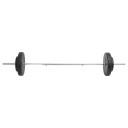 Vektstangsett med skiver 30 kg