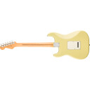 Fender Player II Strat MN HLY