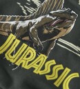 Name It Nmmjal Jurassic Nreg Sweat Bru Noos Sky Khaki green 122 128