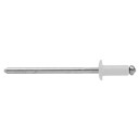 Ejot 130299 Blindnagel 3,2 x 10 AL/ST 1000-pakning Hvit 9010 Innfesting