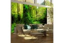 Fototapet Jungle 400x309 - Artgeist sp. z o. o.