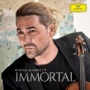David Garrett Immortal Picture Disc Vinyl