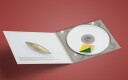Matthew Herbert, Momoko Gill  Clay  CD