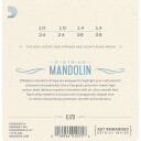 D'Addario EJ73