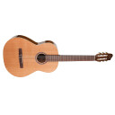 Godin Concert