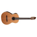 Godin Collection