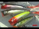 Rapala X-Rap Pop Popper wobbler, 7 cm - YP