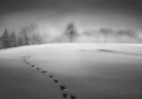 Winter scenery Plakat Plakat / 100x150cm