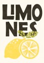 Retro Lemons Illustration Plakat Plakat / 50x70cm