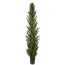 Mr Plant Cypress Tre 90 cm
