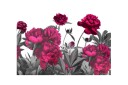 Fototapet Lush Meadow 250x175 - Artgeist sp. z o. o.