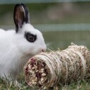 Trixie Pure Nature Høyball Med Rødbeter Og Pastinakk