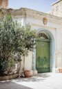 Green Door Plakat Plakat / 40x50cm