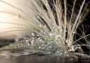 Maryam Zahirimehr Pearls Plakat / 70x100cm
