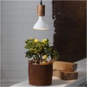 LED Plantelys (Gir planten lys og gode vekstforhold)