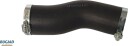 BUGIAD 82401 Ladeluftslange