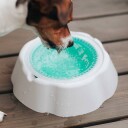 Lysegrønn Dobbel Hunde- Og Katteskål