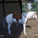 My Life Farm Vet PS5