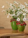 EDG   Vase Strawberry Anfora H 35 cm Grønn