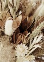 Delicate Dried Flowers Bouquet Plakat Plakat / 50x70cm