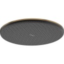 Hansgrohe Raindance Alive S takdusj, Ø30 cm, børstet bronse