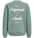Jack & Jones Collegegenser   JorNorrebro   Laurbærkrans/AW 26   Jack & Jones   8 år (128)   Collegegenser   Grønn