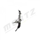 Tannstang MERTZ M G1105