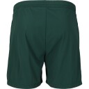 Endurance Dyne Treningsshorts Herre Blå 2XL