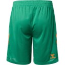 Esbjerg fB 25/26 Keepershorts Grønn L