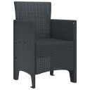  hage stoler 2 stk Antrasitt Poly Rattan