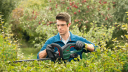 Bosch Universal HedgeCut 18V-50 SOLO