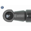 Baklukedemper VAICO V42-1131