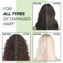 Garnier Fructis Damage Eraser Styrkende Sjampo 250ml for Skadet Hår